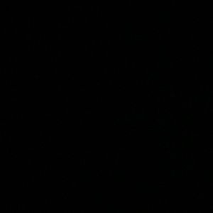 Meet your Posher, Tristan